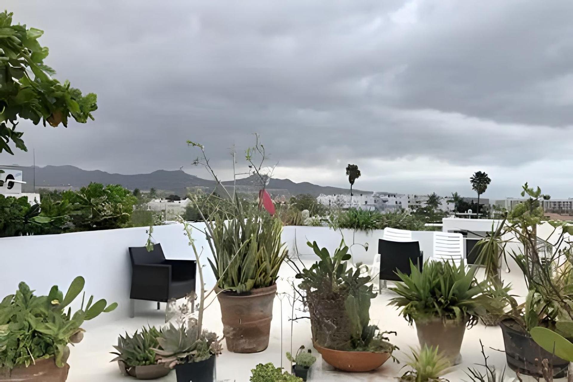 12 De Octubre Apartamento Cabo San Lucas